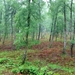 P1390645