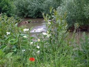 fietstocht bunt 24 mei 2014 015