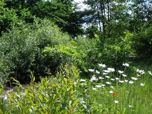 fietstocht bunt 24 mei 2014 016