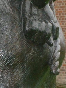 Stropke aan Prinsenhof zijn duim
