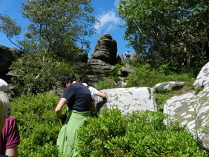 2014-06-11 16.36.44