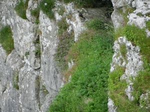 2014-06-12 12.04.31