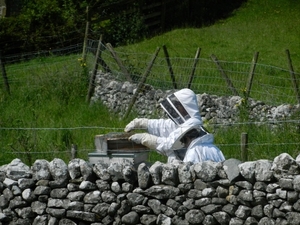 2014-06-12 12.36.51
