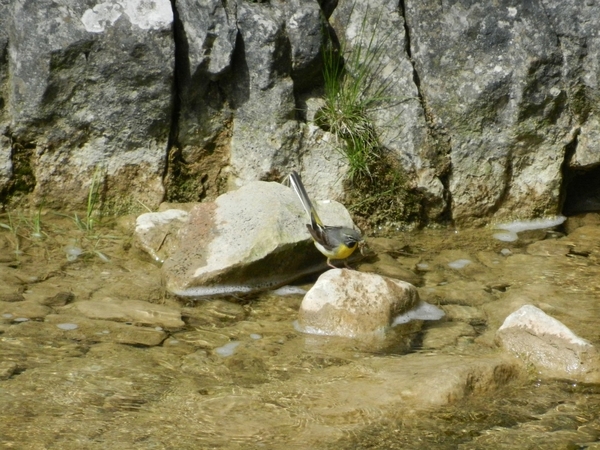 2014-06-12 16.17.10