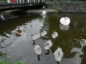 2014-06-13 07.32.23