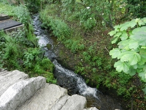 2014-06-14 07.39.41