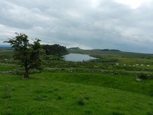 2014-06-14 17.36.57