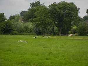 2014-06-18 11.12.54