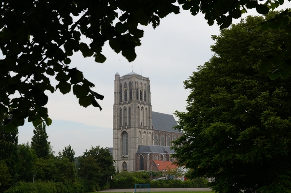 DSC_0113 kopie