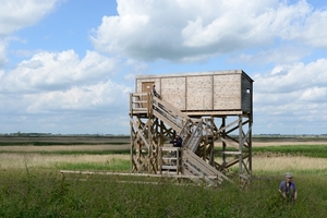 DSC_0145 kopie
