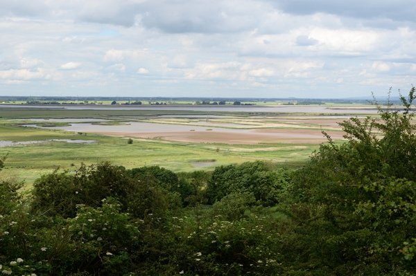 DSC_0151 kopie