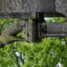 DSC_0240 kopie