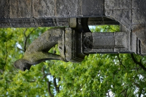 DSC_0240 kopie