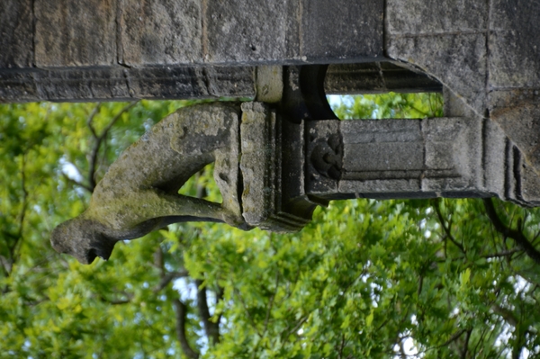 DSC_0240 kopie