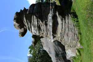 DSC_0266 kopie
