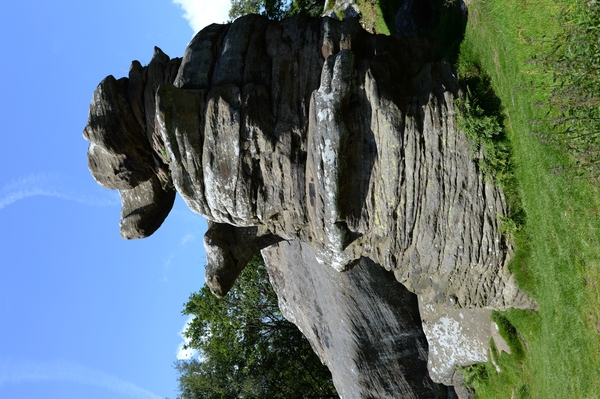 DSC_0266 kopie