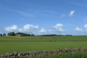 DSC_0312 kopie
