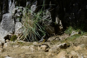 DSC_0433 kopie