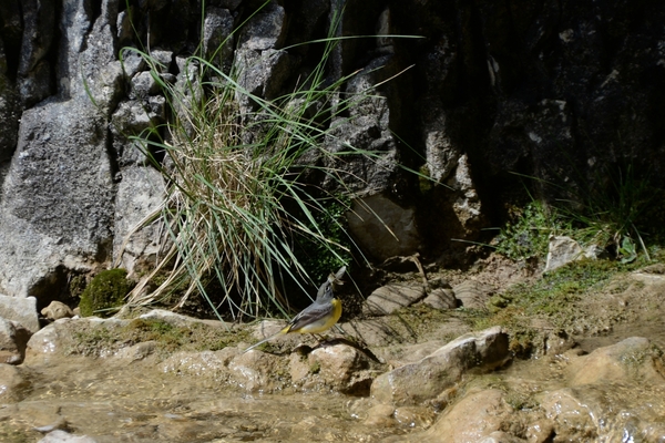 DSC_0433 kopie
