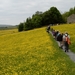 DSC_0489 kopie