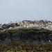 DSC_0639 kopie