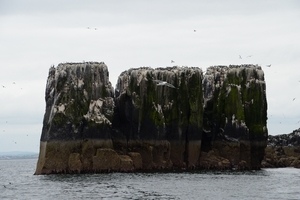 DSC_0674 kopie