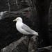 DSC_0704 kopie