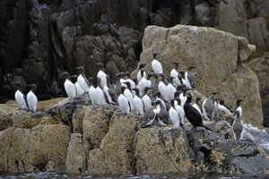 DSC_0730 kopie