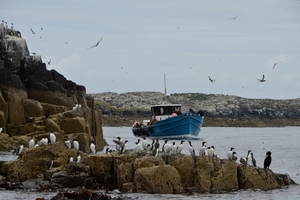 DSC_0732 kopie