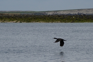 DSC_0738 kopie