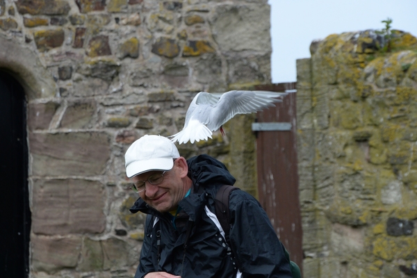 DSC_0759 kopie
