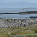 DSC_0772 kopie