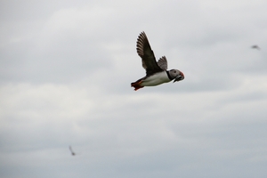 DSC_0835 kopie
