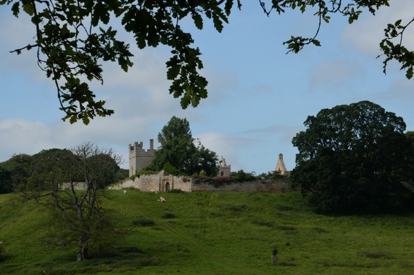 DSC_1150 kopie
