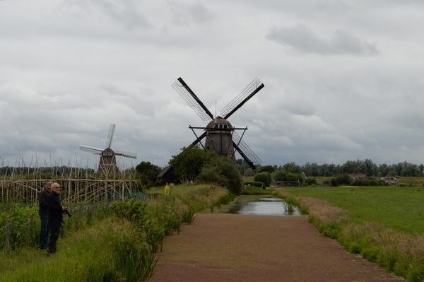 DSC_1317 kopie
