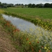 DSC_1320 kopie