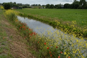 DSC_1320 kopie