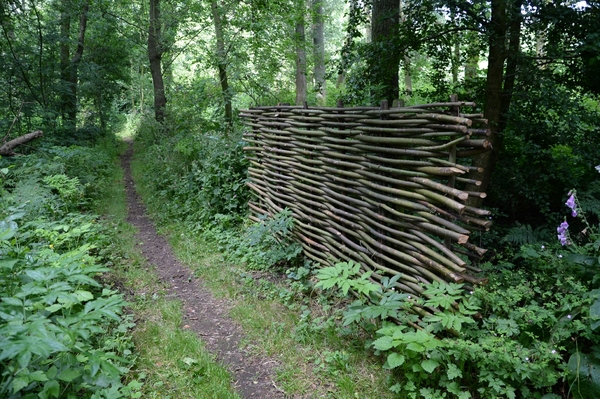 DSC_1355 kopie