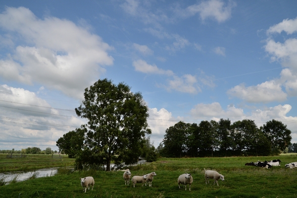 DSC_1367 kopie