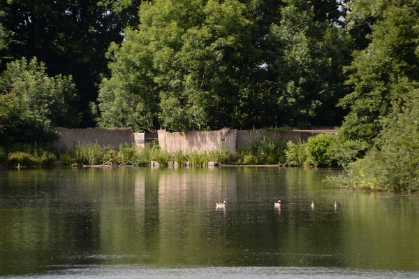 DSC_1381 kopie