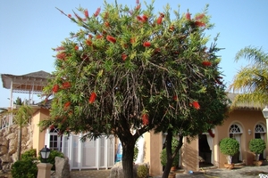 DSC00171