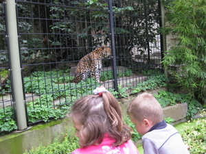 18) Jana & Ruben bij het luipaard