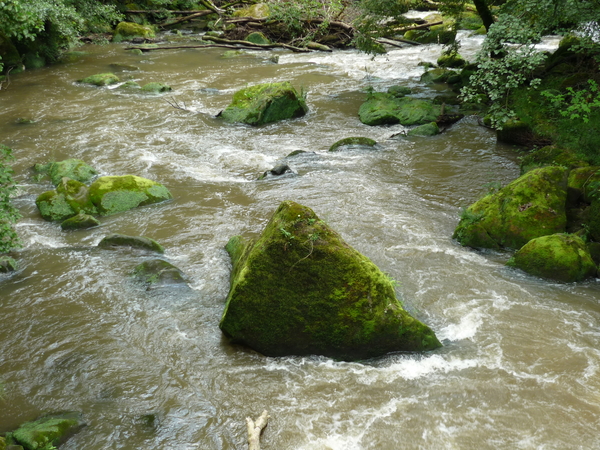 150814 ECHTERNACH 013