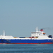 Global Carrier