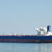Leo Star