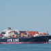 NYK Vega