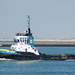 Smit Polen