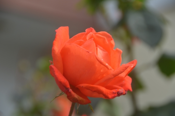027