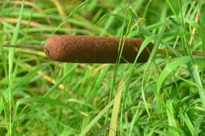 029