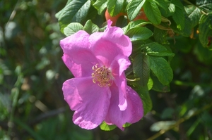 045